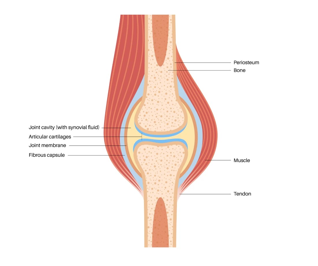 aa1cf5e7 44d9 405c a91e 8db5ae67bf35 1
